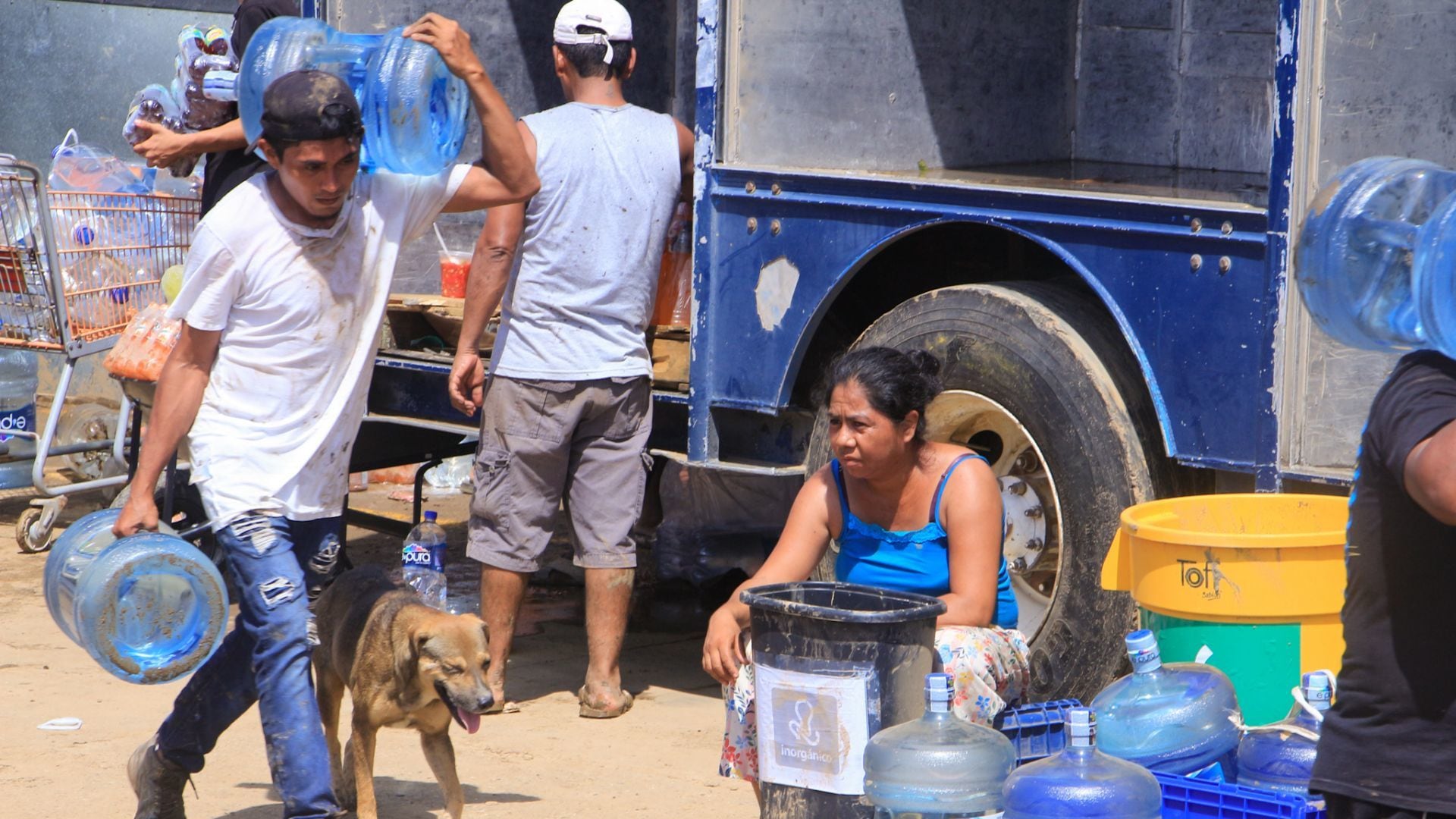 Más de 100 refugios necesitan víveres para atender animales.