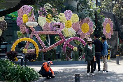 Tras dos años de ausencia las flores han regresado a colorear las calles de Polanco, en la Ciudad de México.