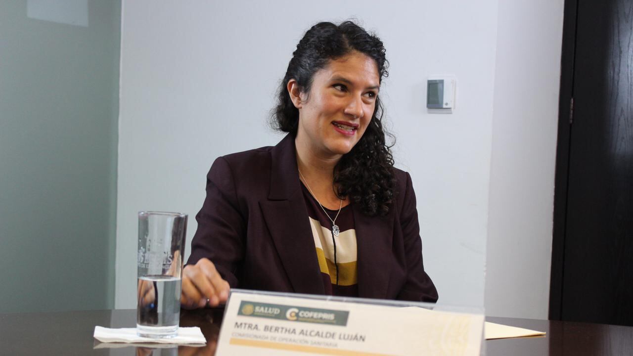 Bertha Alcalde Luján trayectoria hermana secretaria del Trabajo