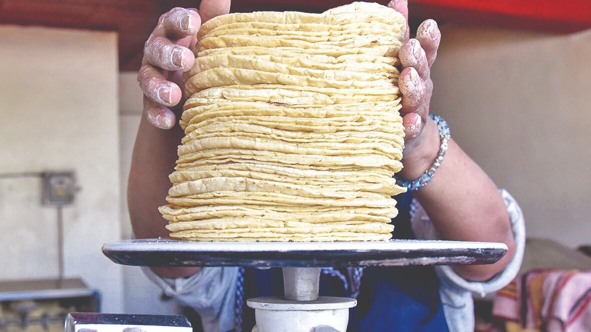 El salario mínimo sube a 248.93 pesos diarios en 2024 y beneficiará a 8.9 millones de trabajadores, que representan 40% de empleados inscritos al IMSS