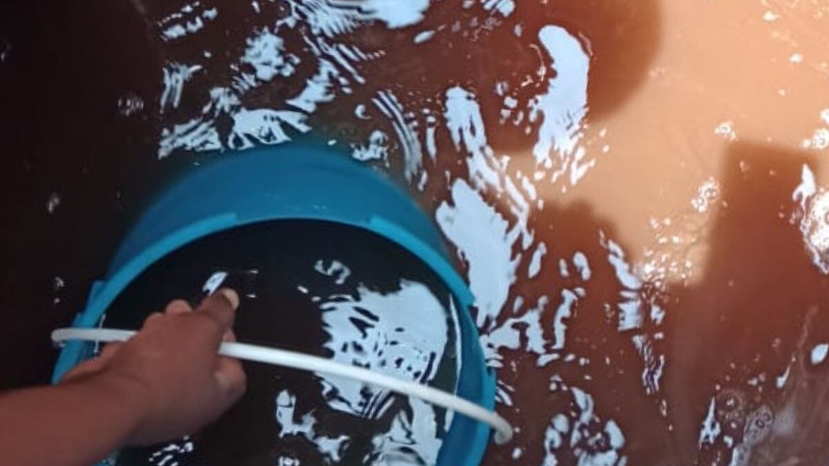 Agua contaminada tiñe de café tinacos en Nápoles: envían trabajadoras sin equipo para limpiarlos