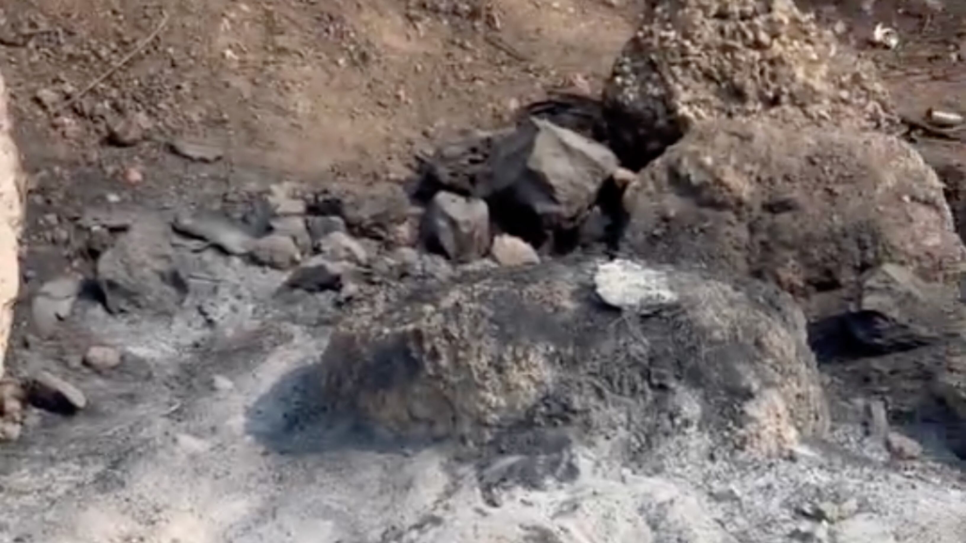 Hallaron algunas identificaciones en el lugar. (Especial)