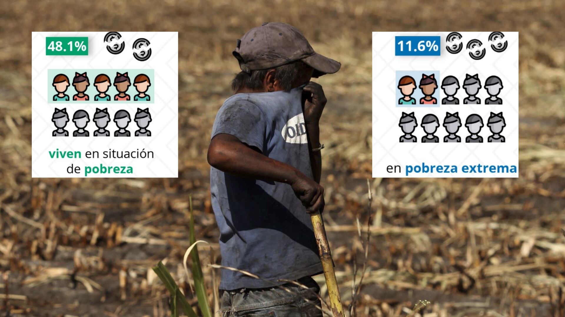 El gobierno invierte menos de 7 pesos diarios –por niño– en salud, cuidados y programas para romper la pobreza en la primera infancia.