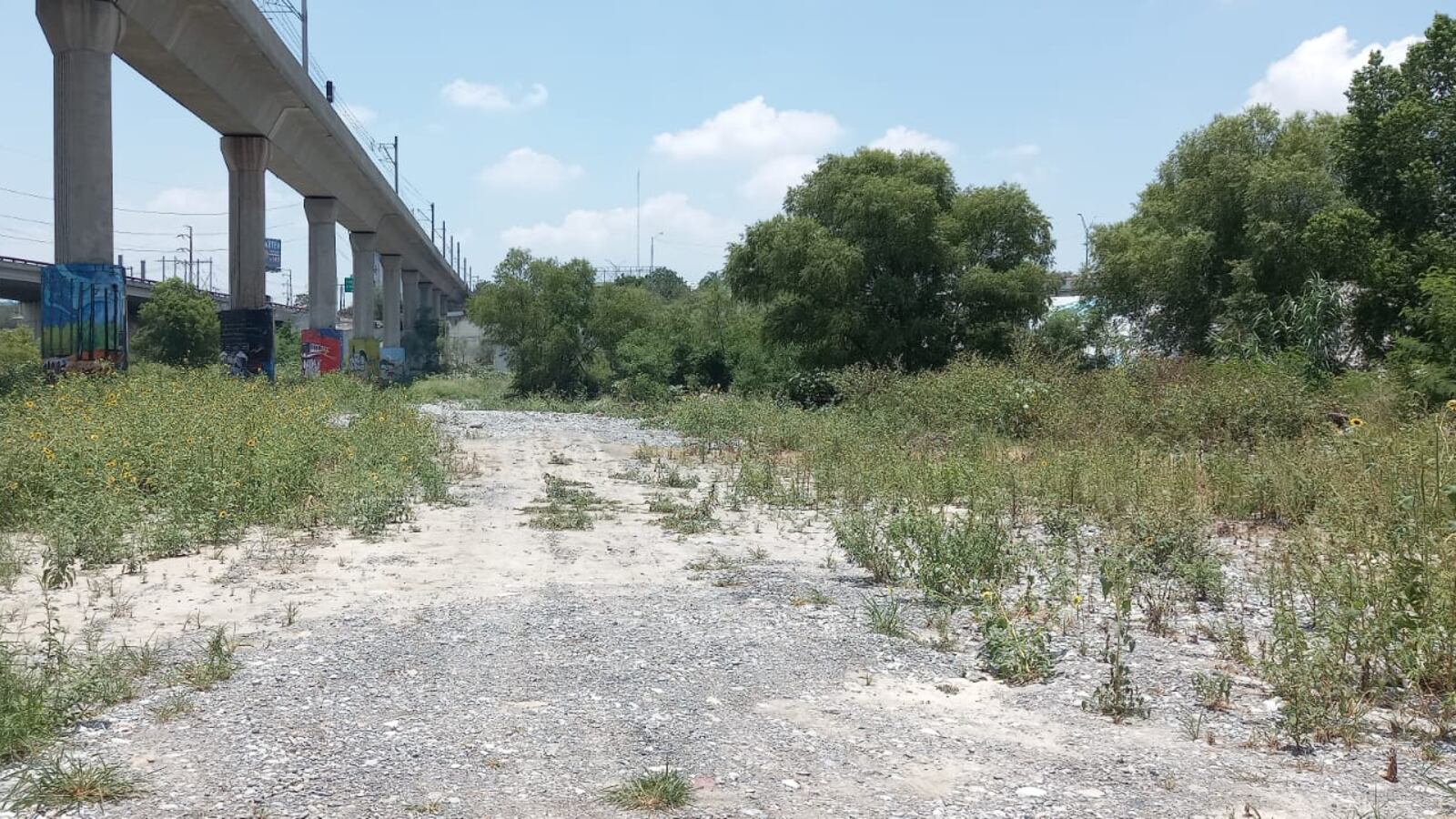 En e lecho del río hay vegetación nociva que impide el correcto paso del agua.
