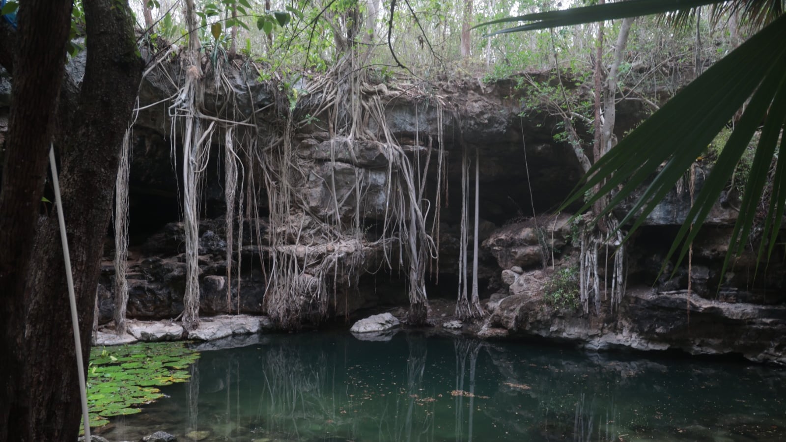 Proyecto Herencia Maya