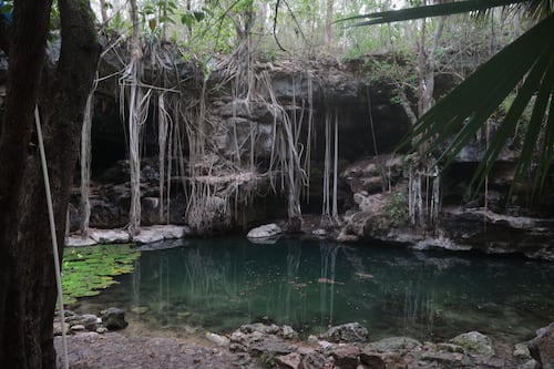 Herencia Maya: el modelo que busca blindar el futuro ambiental de Yucatán
