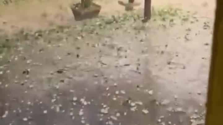 Se aprecia el tamaño del granizo que afectó la zona oriente del Estado.