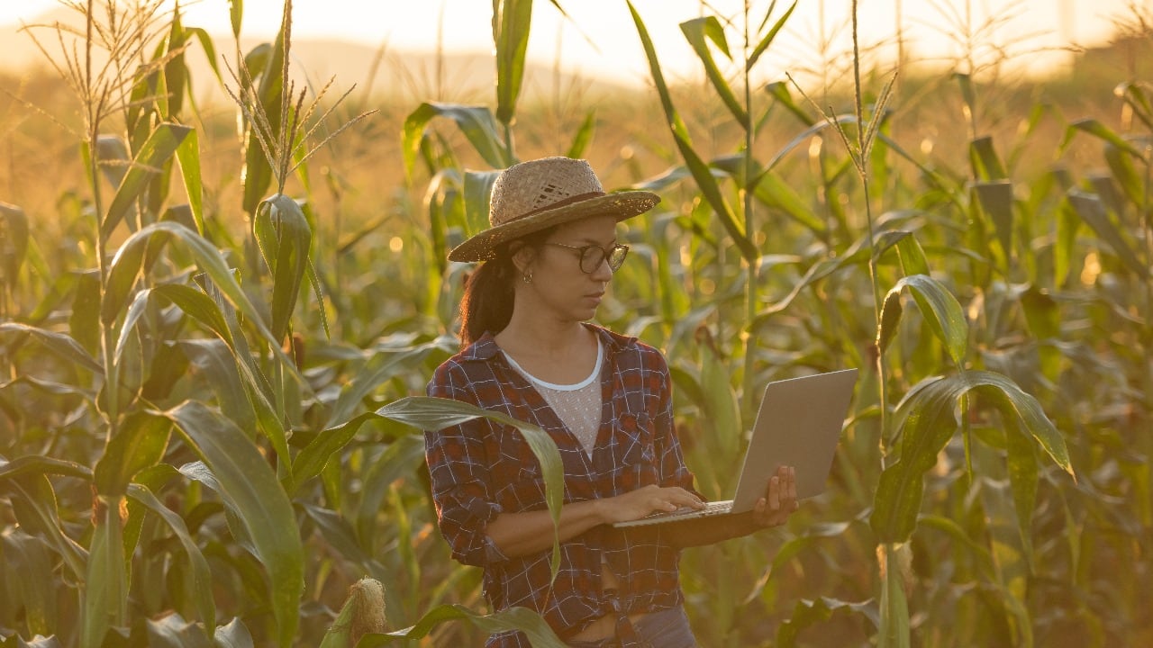 agricultura-regenerativa-sustentable-ahorro-recursos-agua-ambiente-alimentos-campo