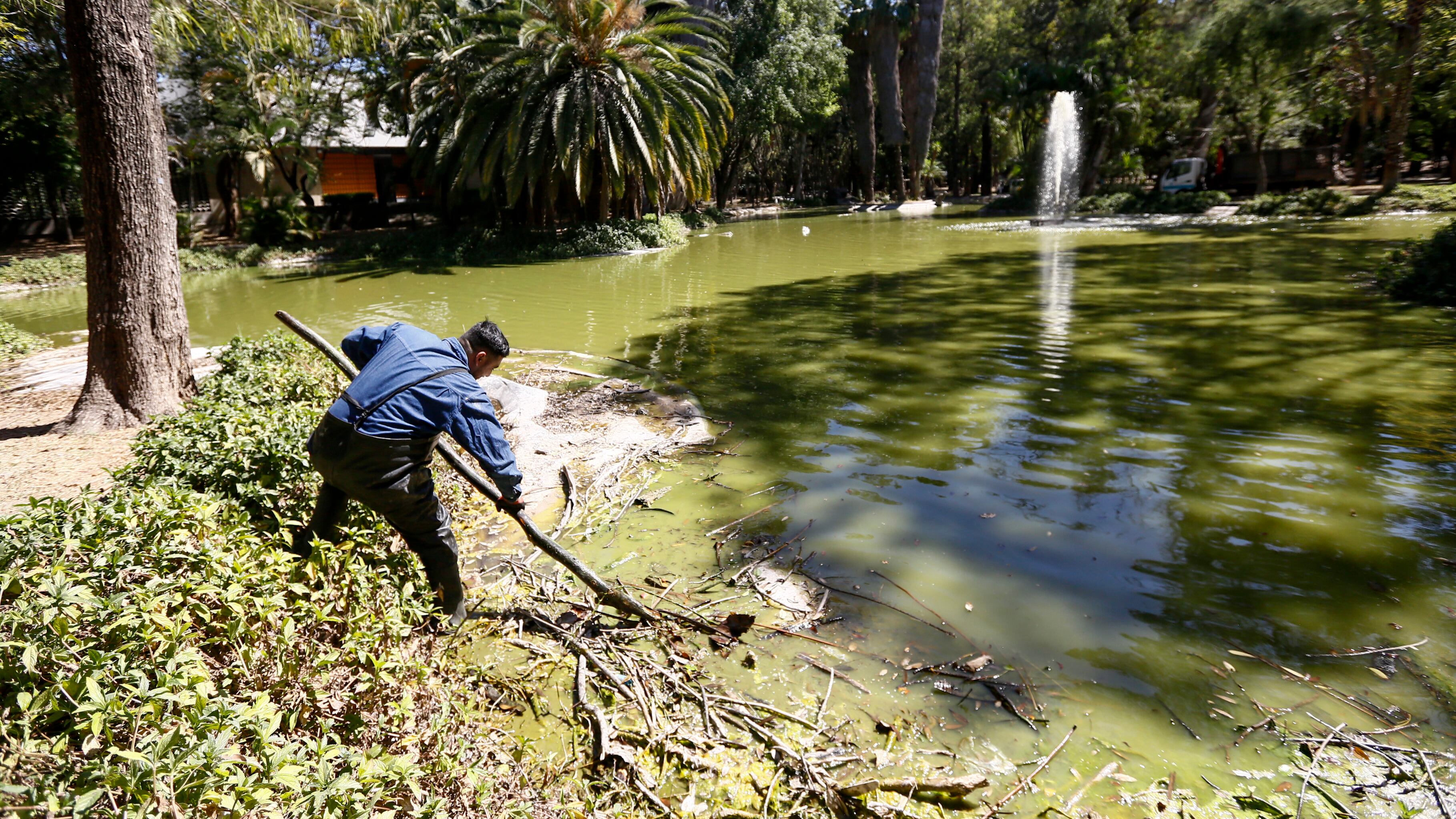 CORTESÍA/ GOBIERNO DE JALISCO
