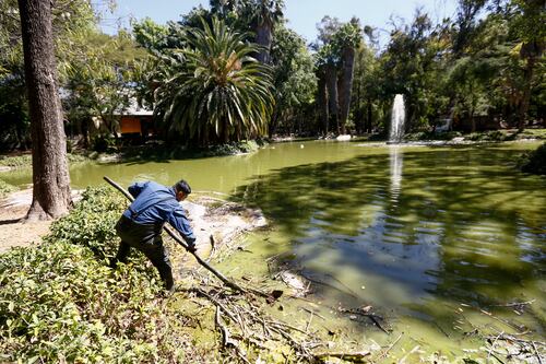Lluvias AMG: Afectaciones por precipitaciones disminuyeron el 87%, confirman autoridades