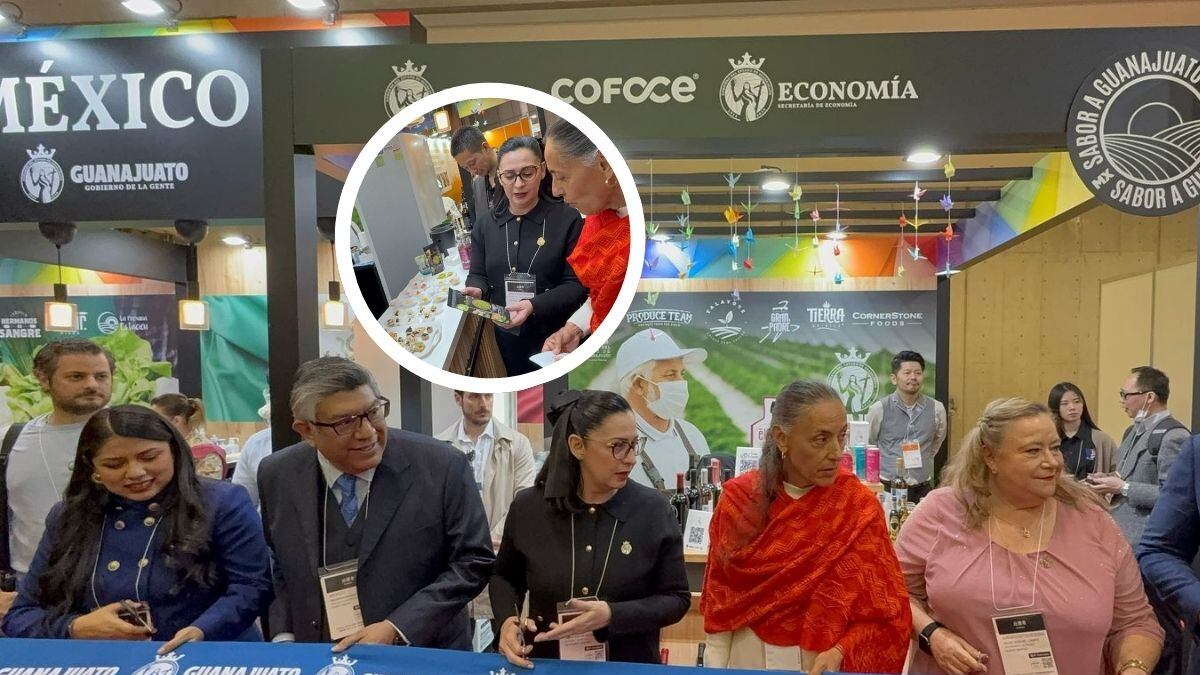 Empresas guanajuatenses exhiben sus productos en FOODEX Japón 2025, buscando conquistar el mercado asiático.