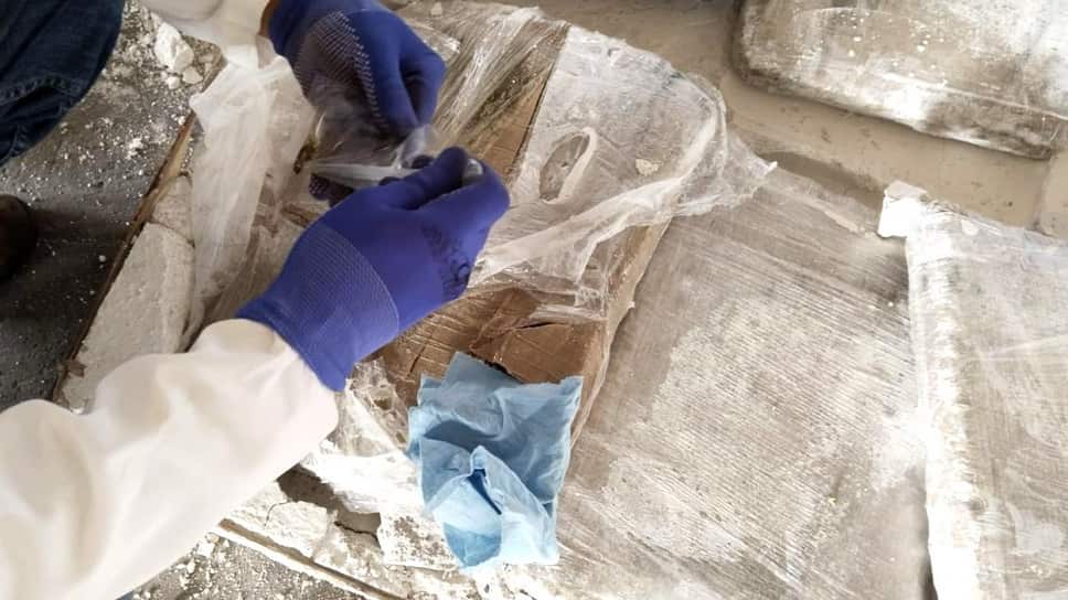 marihuana en el Puerto de Veracruz