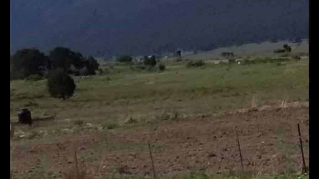 Un nuevo incendio forestal en Nuevo León