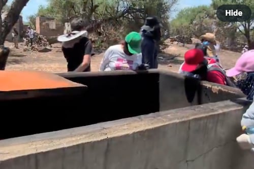 “Todavía estaba humeando”: Colectivos hallan crematorio clandestino en Lagos de Moreno