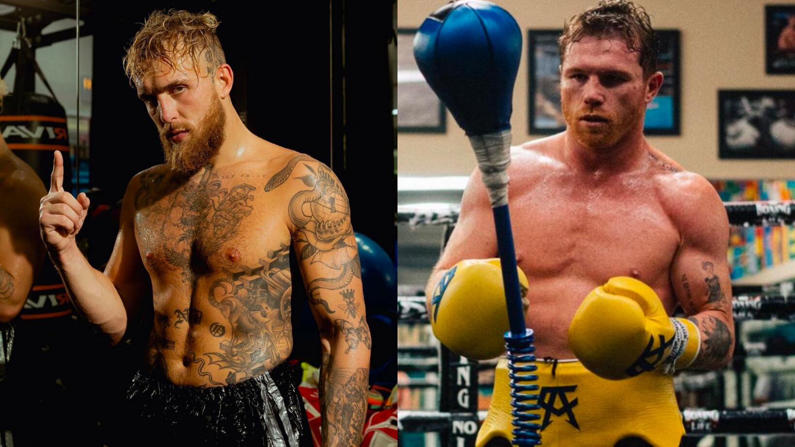 Jake Paul volvió a retar al Canelo Álvarez.