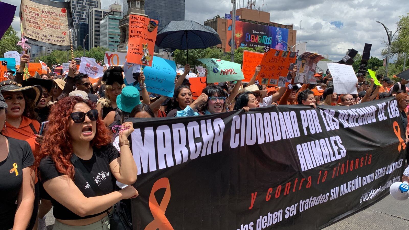 Marcha en defensa de los animales