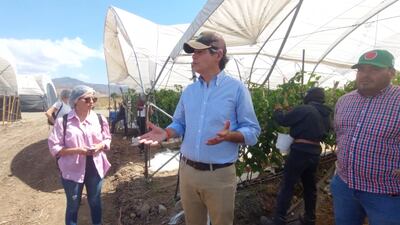 Aldo Mares, CEO de Green Gold Farms