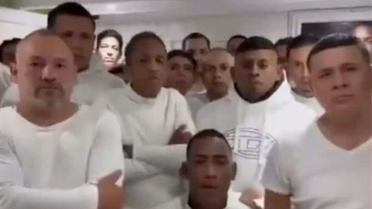 ¿Quiénes son 'Los Lobos' y qué relación tienen con el CJNG tras el asesinato del candidato en Ecuador?