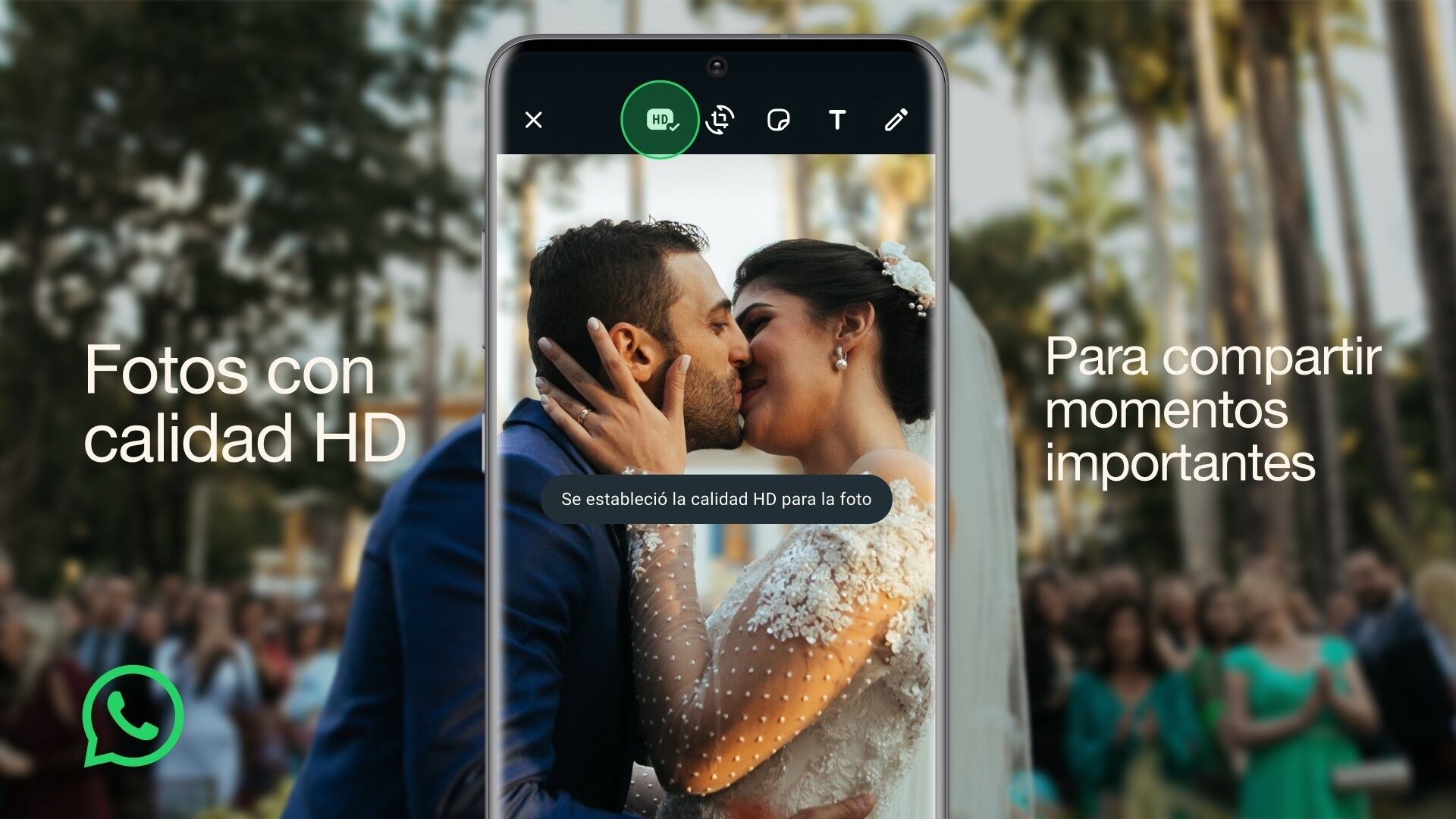WhatsApp-permite-envio-de-fotos-en-calidad-hd