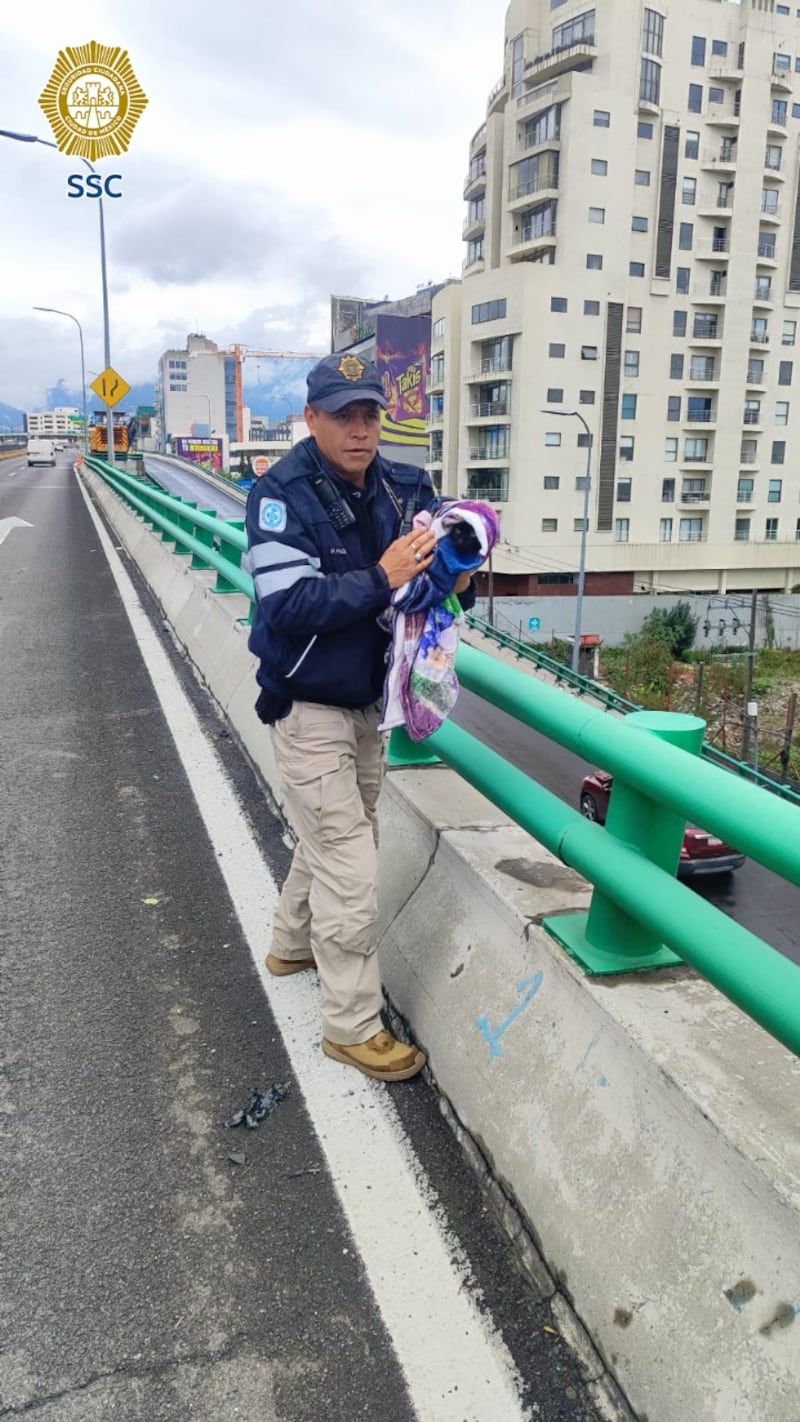 CDMX