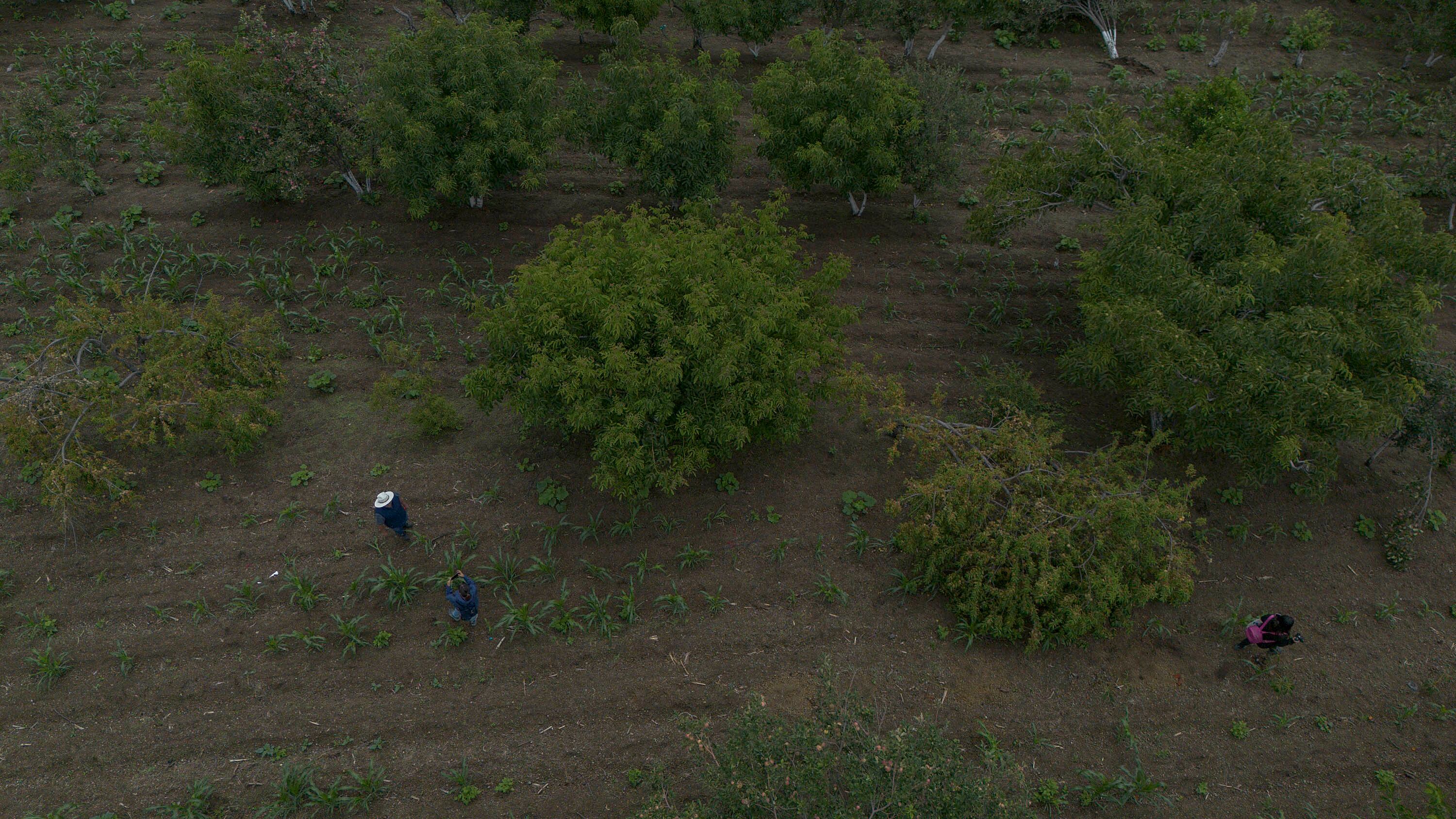 FOTO: Oscar Rodríguez/Agencia Enfoque