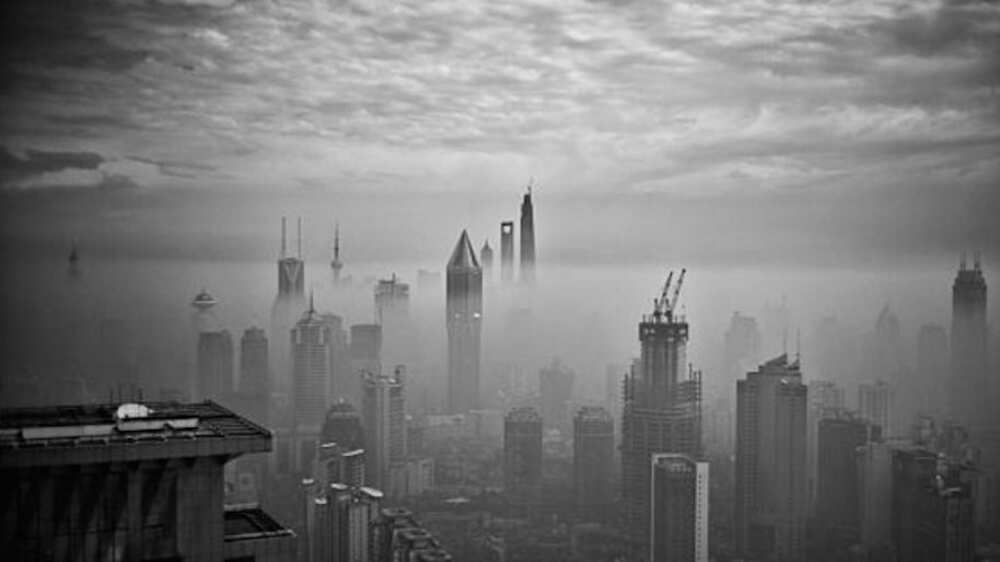 Hora de gobernar, Por David Olivo, Revocación de Mandato