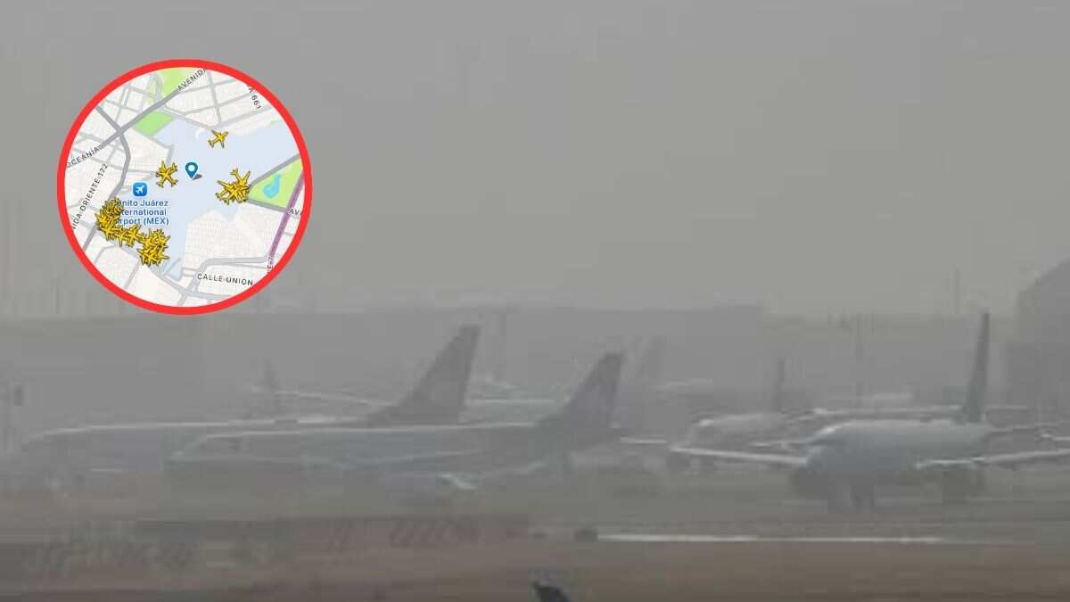 AICM y AIFA: Bancos de niebla causan retrasos en vuelos el lunes 2 de diciembre