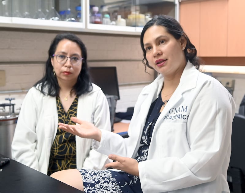 Investigadoras de la UNAM
