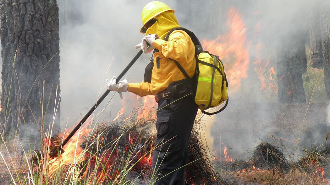 Incendios en Querétaro