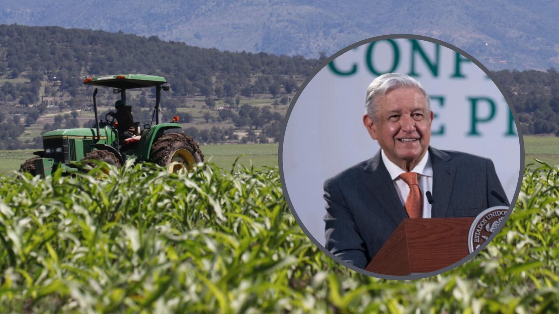 El decreto emitido por el presidente busca reducir el uso del glisofato y del maíz transgénico