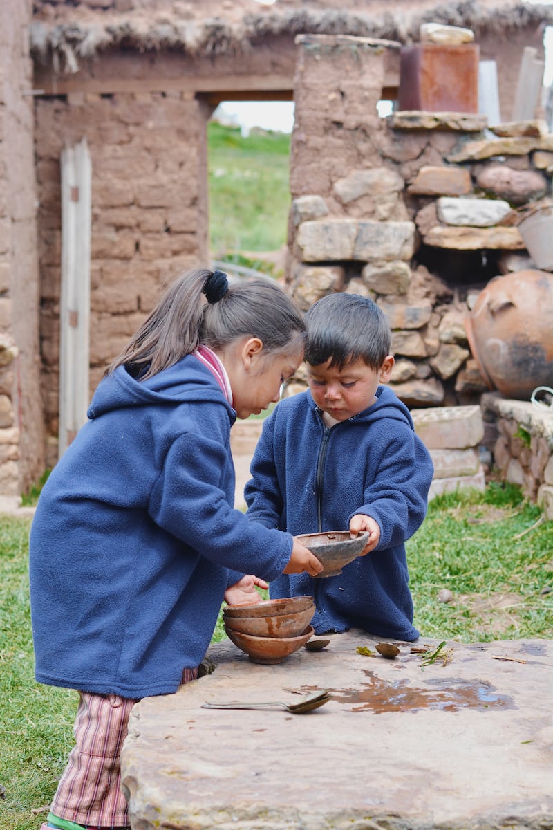 Fundación del Dr. Simi