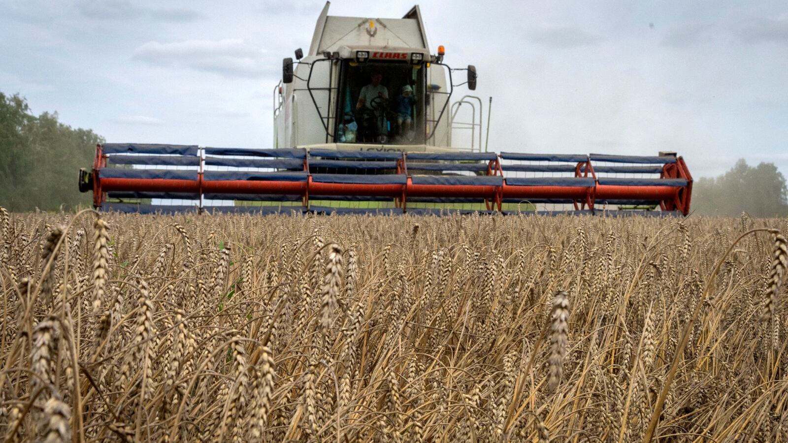 El bloqueo de Rusia a los barcos que exportan cereales de Ucrania ya está descontado por los mercados; es la tercera vez que esto sucede desde que estalló la guerra.