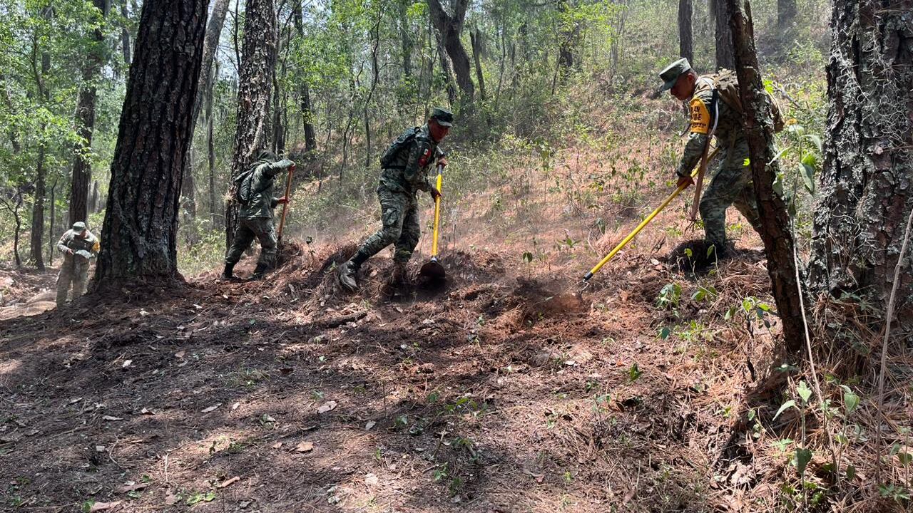 Los intentos por acabar con el incendio también se hacen por tierra.