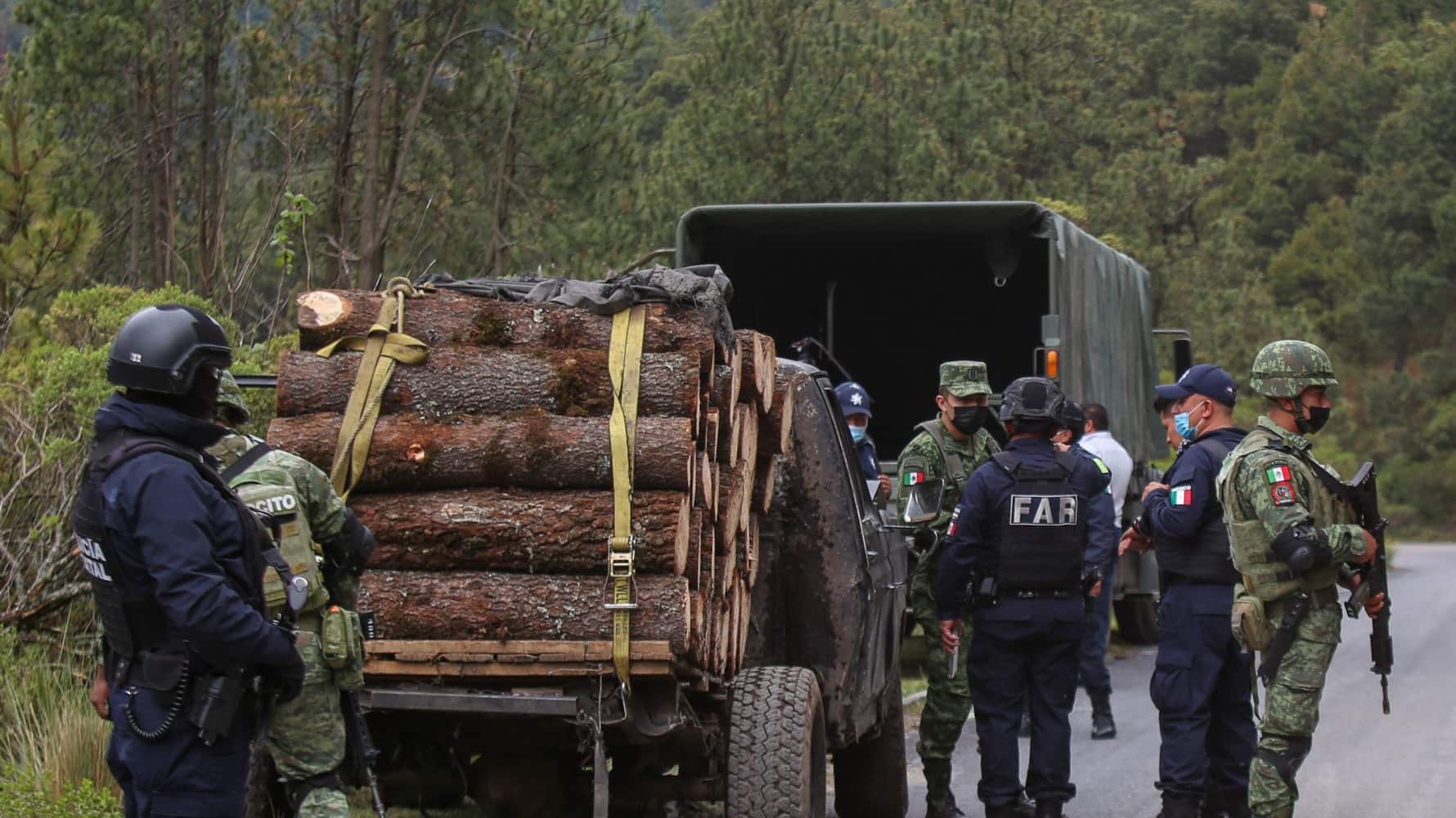 Delitos ambientales en México, concentrados solo en 8 estados