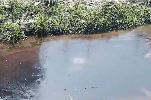 Emergencia en Veracruz: lluvias causan derrame de hidrocarburos en Poza Rica y Coatzintla