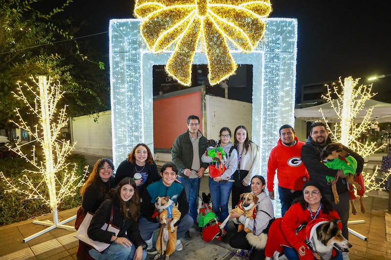 Perritos también pudieron encontrar un lugar con la instalación de un centro de adopciones.
