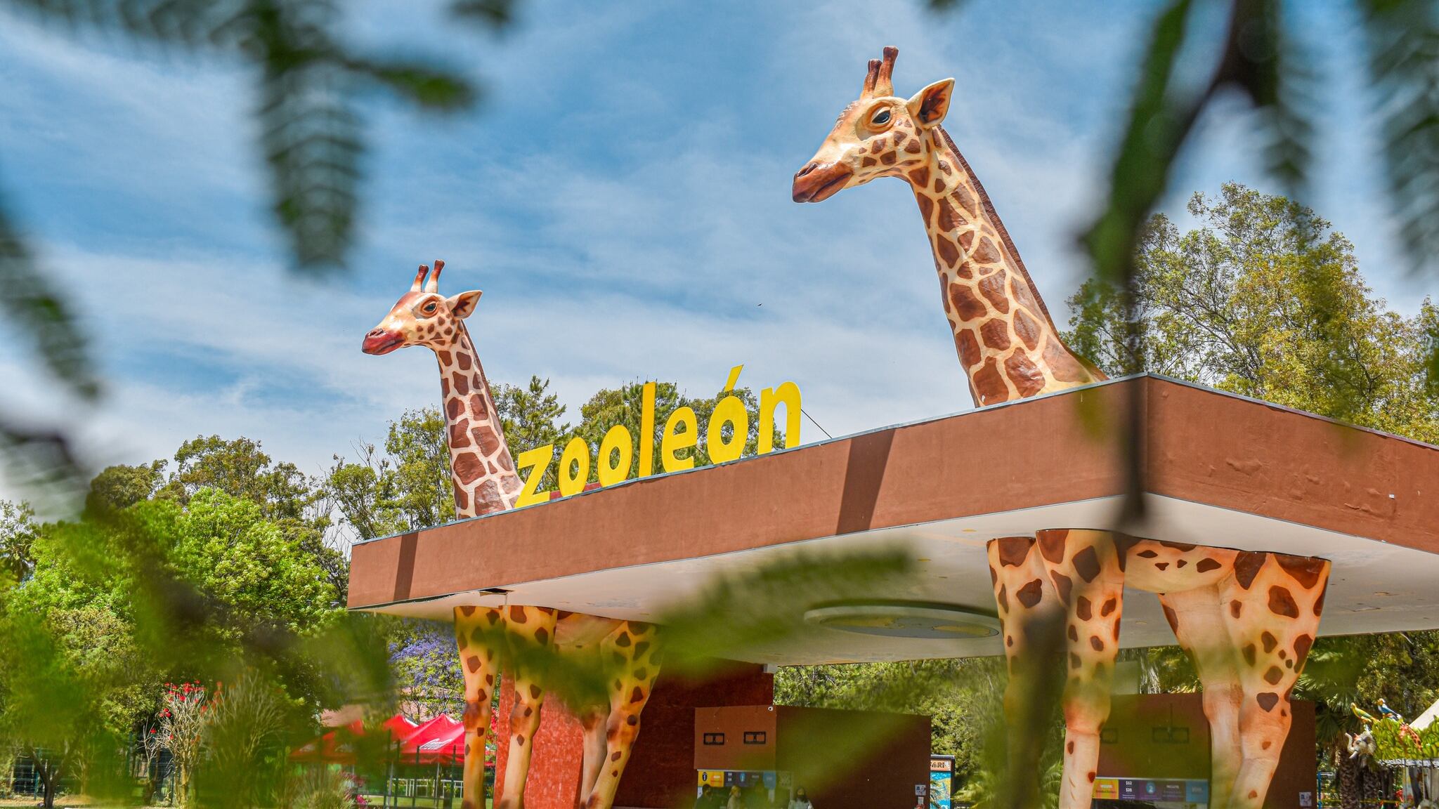 Nuevo reglamento para el Zoológico de León.