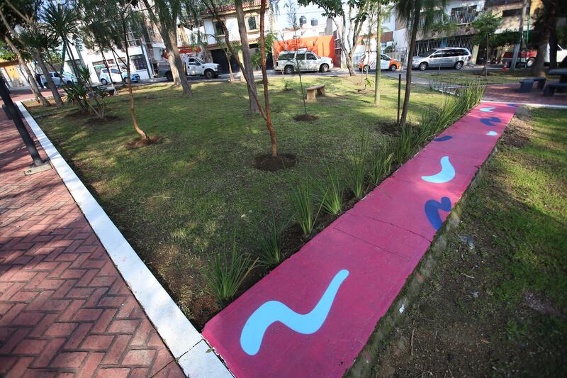 El tema del cuidado de parques y jardines será presentado para su análisis y discusiones en el pleno del Congreso.