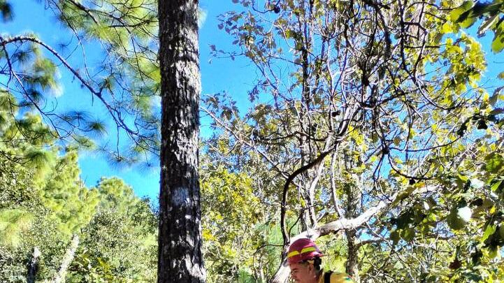 Temporada de estiaje.