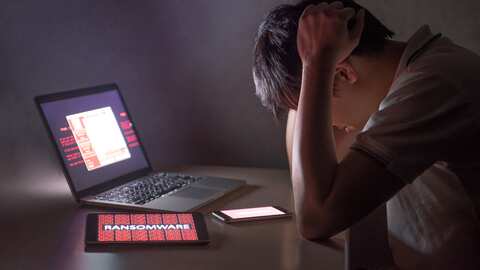 Clonan portales oficiales del SAT, SRE y REPUVE en México para robar datos.