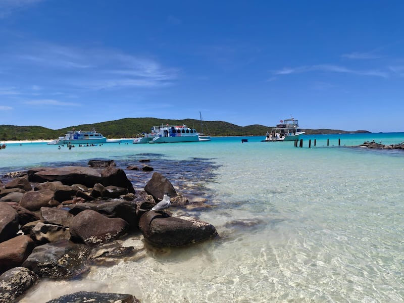 Desde Cayo Icacos hasta las calles de San Juan, pusimos a prueba el realme GT8 Pro en fotografía, video, batería y rendimiento para descubrir si realmente sigue siendo uno de los gama alta más atractivos del momento