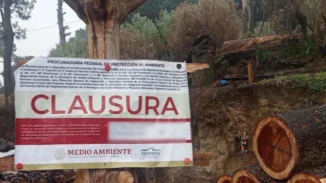 Aseguran dos aserraderos de tala ilegal en Tlalpan