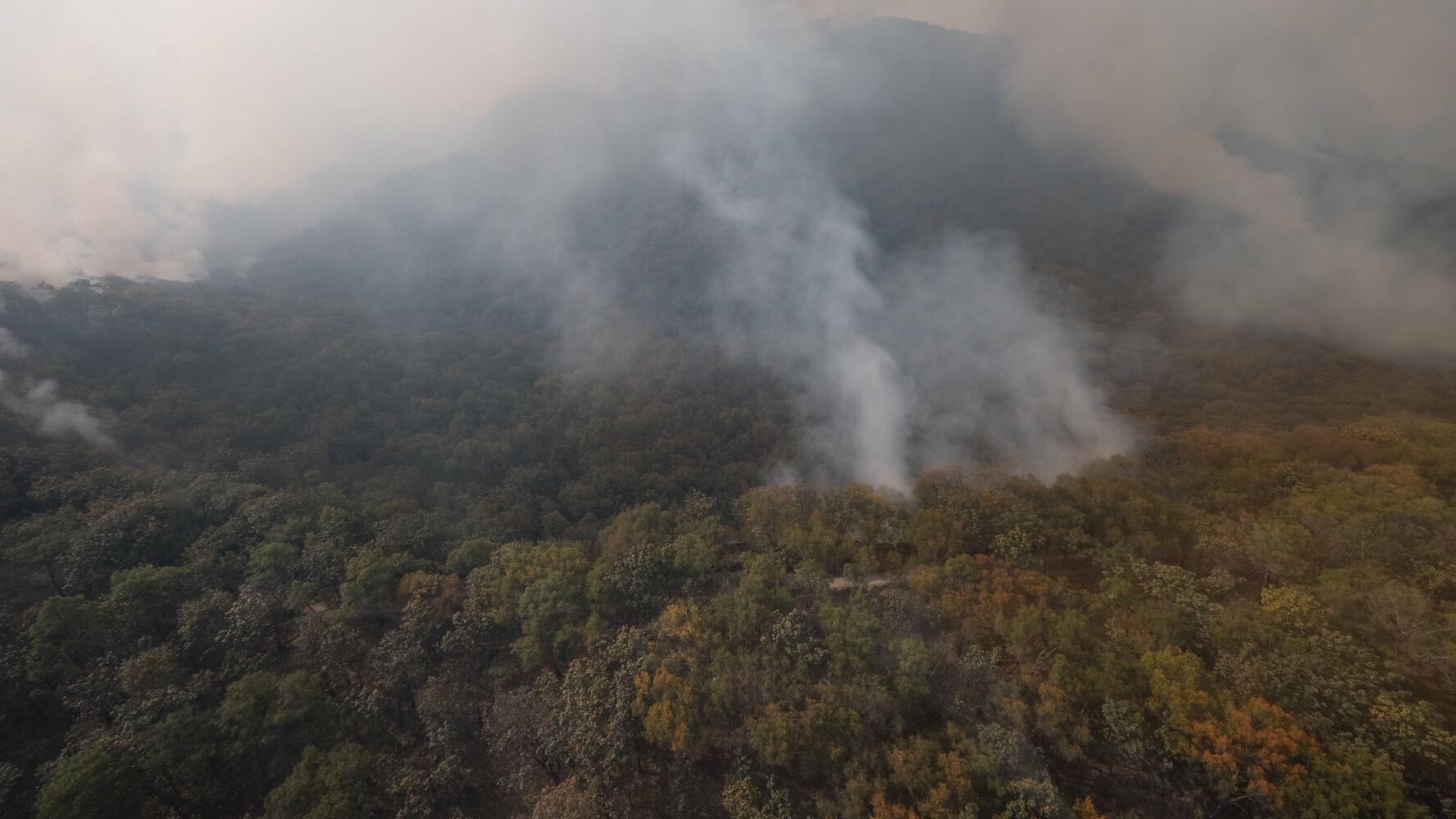 El incendio en Los Volcanes es el más intenso que se ha presentado en el bosque de La Primavera este año.
