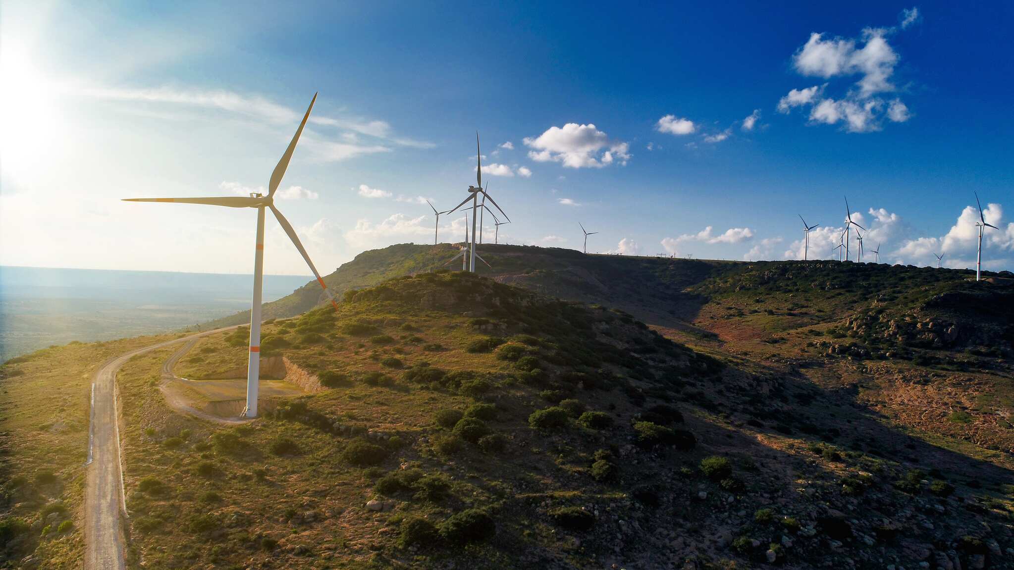 Con el objetivo de atraer más inversiones locales y extranjeras, el Gobierno de Jalisco ha creado la Secretaría de Desarrollo Energético Sustentable (SEDES), que inició operaciones el 1 de enero de 2025.