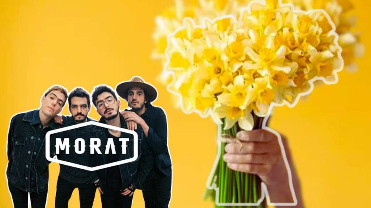¿Flores amarillas el 29 de febrero?, conoce cómo nace la tradición de regalarlas