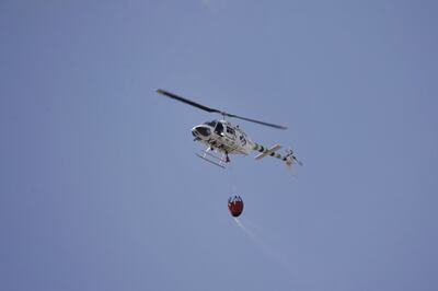 El año pasado fue particularmente agresivo para Jalisco en materia de incendios forestales.