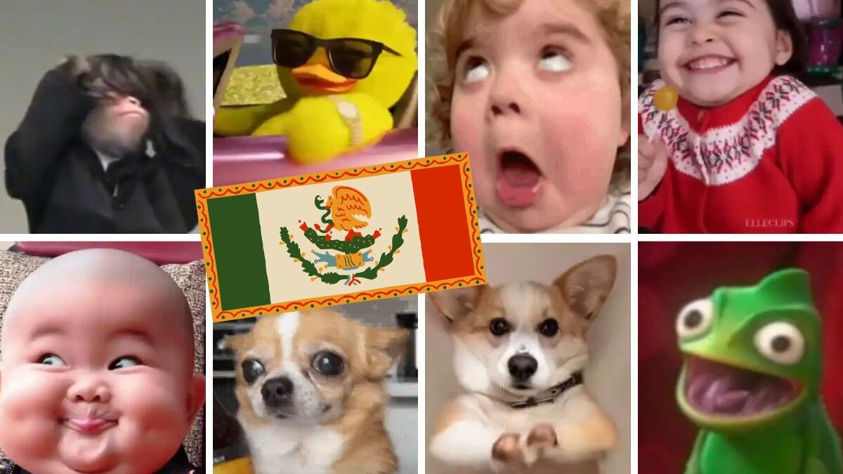 Humor de los mexicanos.