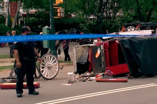 Turista de tan solo 18 años muere al caer de carruaje en Central Park, Nueva York