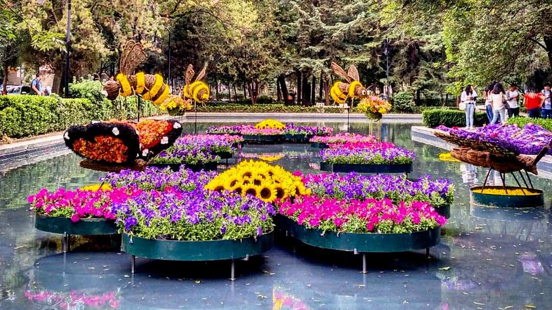 Festival de las Flores y Jardines CDMX 2022