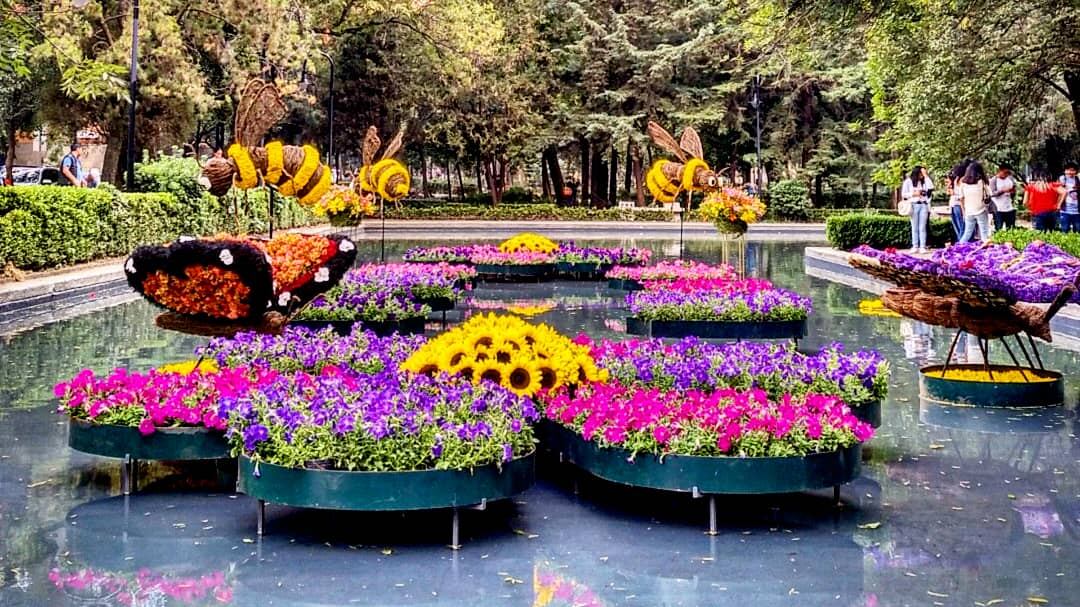 Festival de las Flores y Jardines CDMX 2022